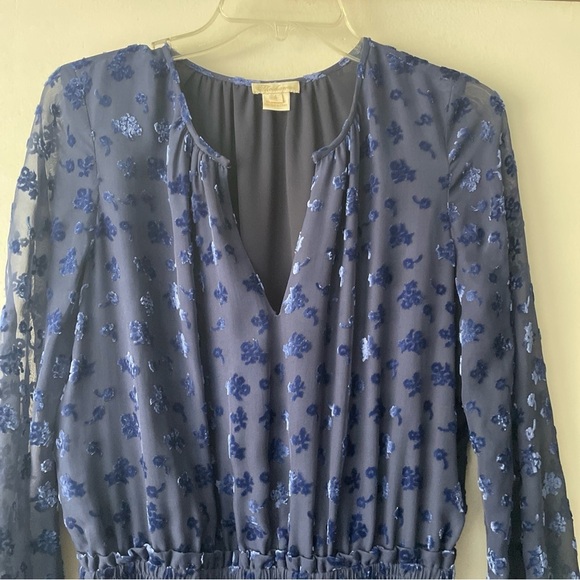 Shoshanna Velvet Floral Levon Dress Silk Blue 6 C3 - Picture 5 of 7